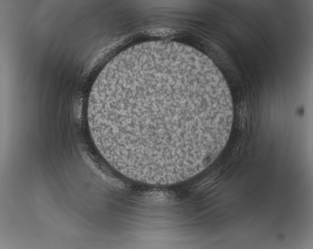 X0000115270404200912111208