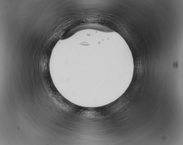 X0000115270408200912111208