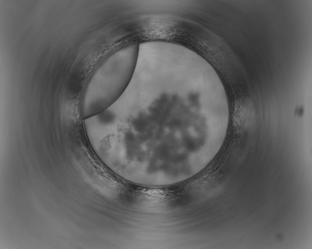 X0000115270409200912111208