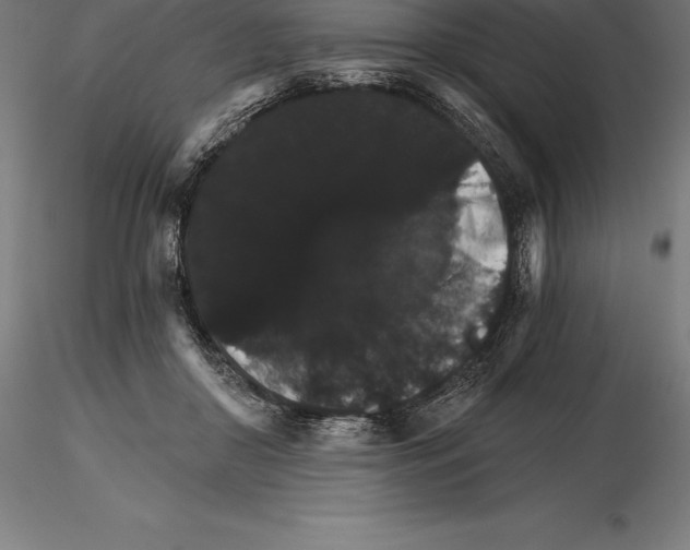 X0000115270410200912111208