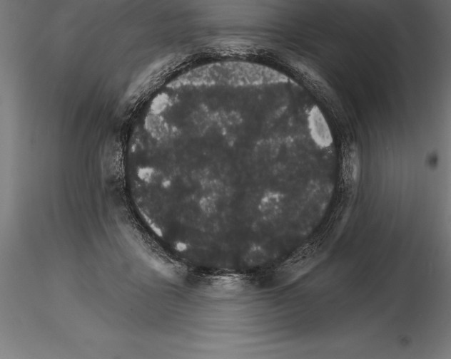 X0000115270411200912111208