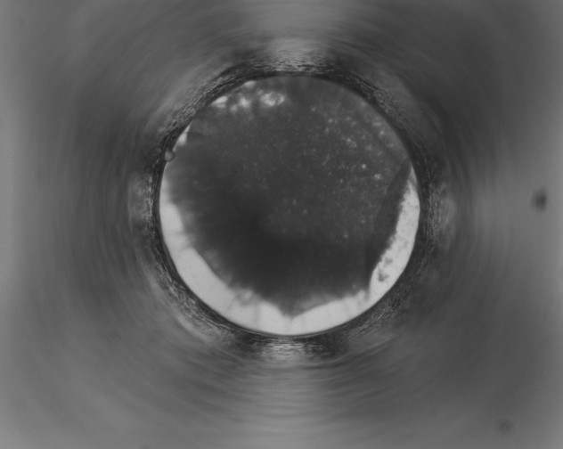 X0000115270413200912111208