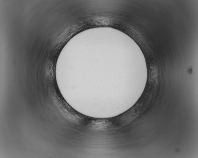 X0000115270414200912111208