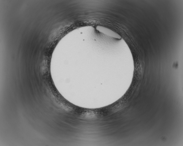 X0000115270416200912111207