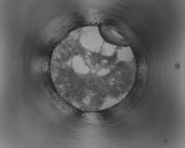 X0000115270417200912111207