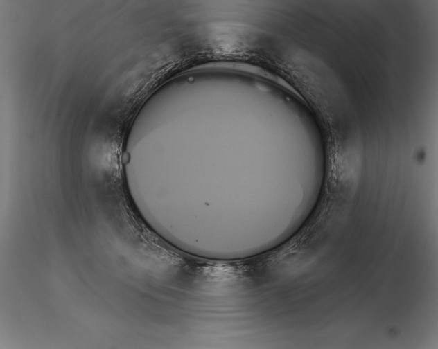 X0000115270419200912111207