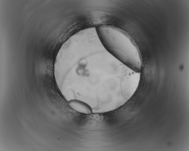 X0000115270421200912111207