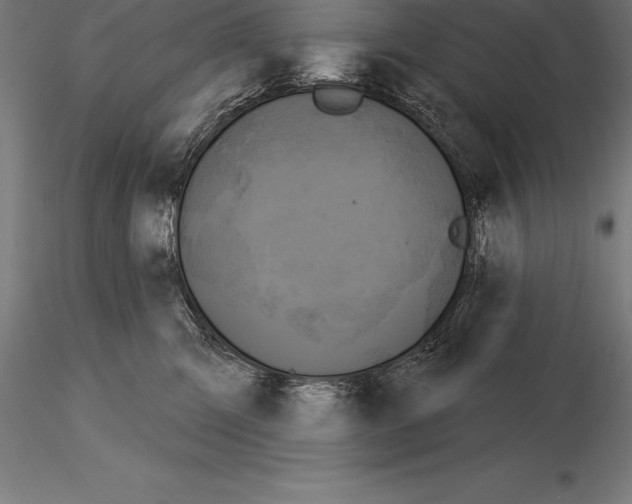 X0000115270423200912111207