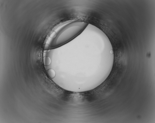 X0000115270425200912111207