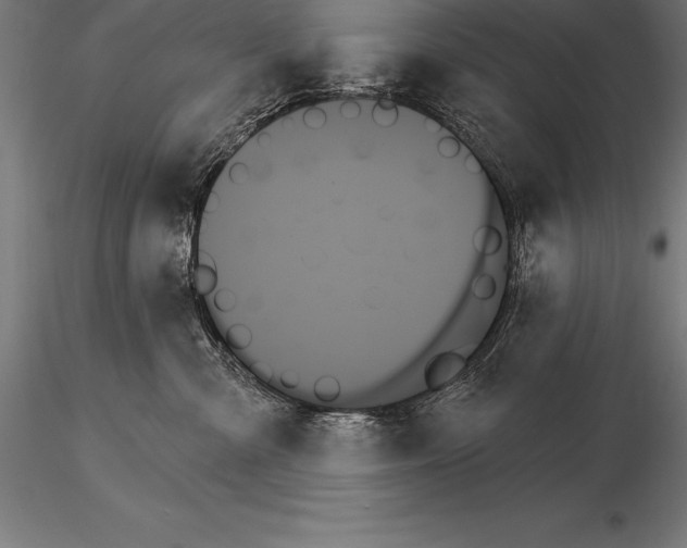 X0000115270427200912111207