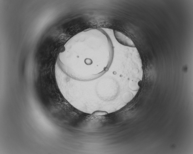 X0000115270429200912111207