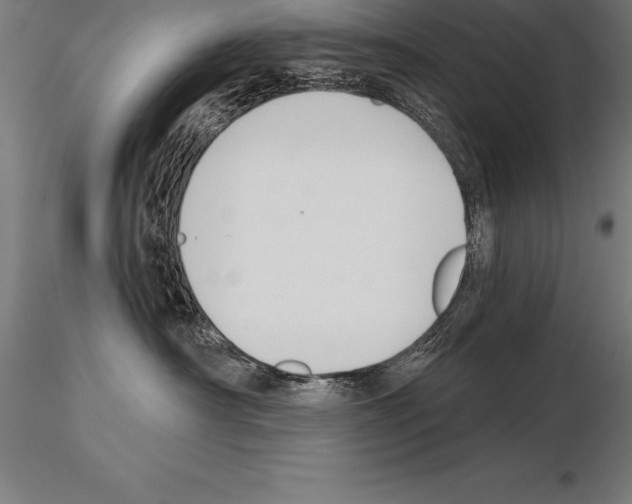 X0000115270430200912111207