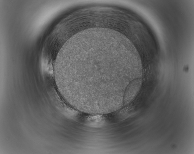 X0000115270431200912111207