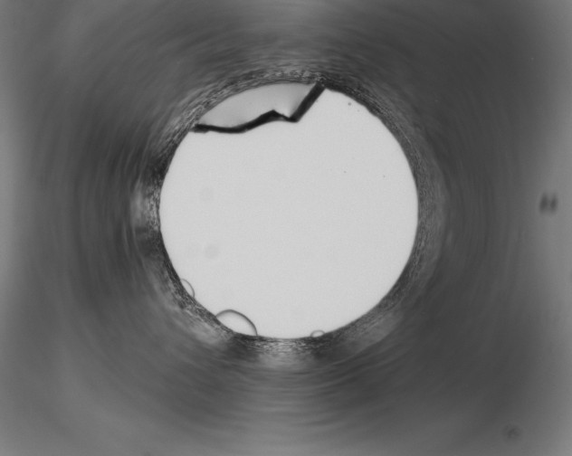 X0000115270432200912111207