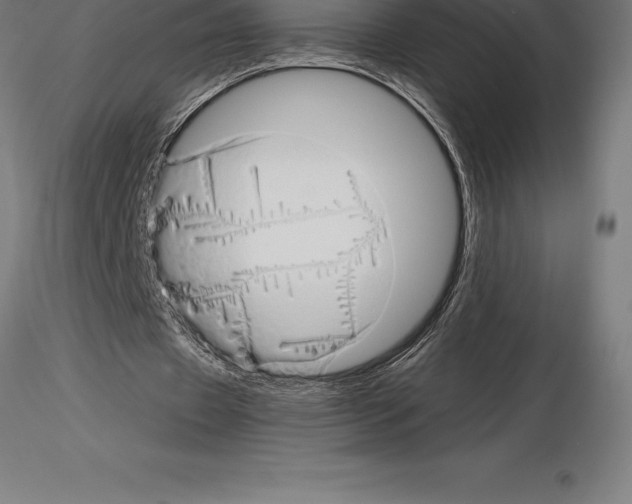 X0000115270433200912111206