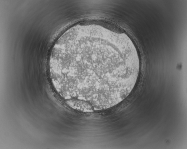 X0000115270434200912111206