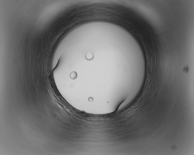 X0000115270435200912111206