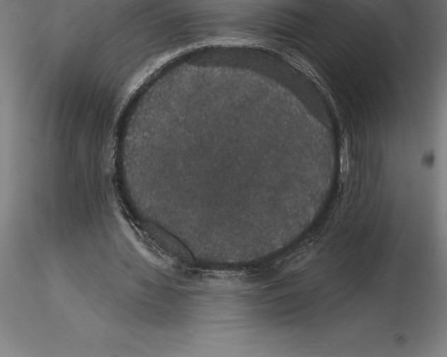 X0000115270436200912111206