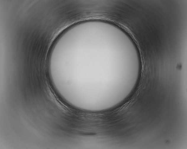 X0000115270439200912111207