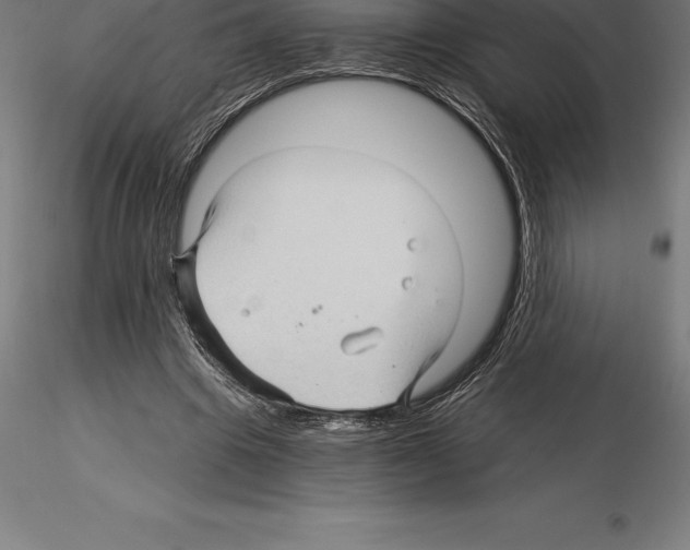 X0000115270441200912111207