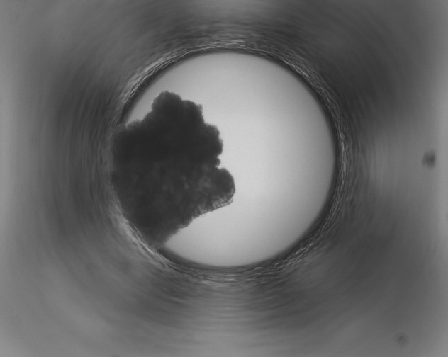 X0000115270442200912111207