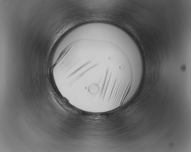 X0000115270443200912111207