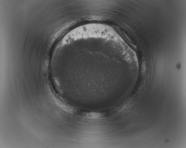 X0000115270444200912111207