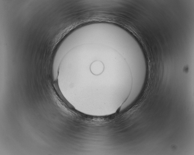 X0000115270445200912111207