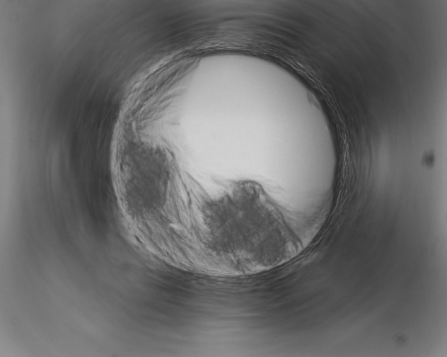 X0000115270446200912111207