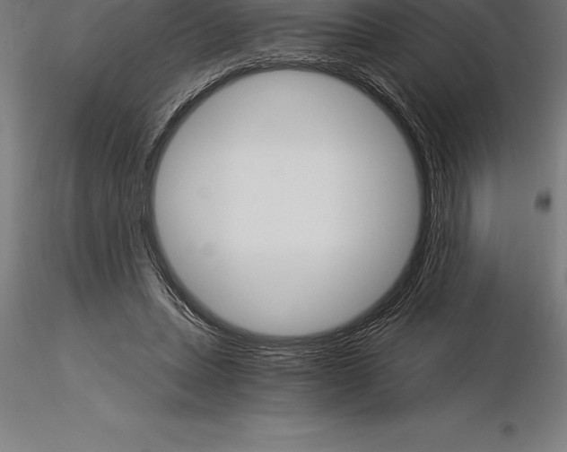 X0000115270447200912111207