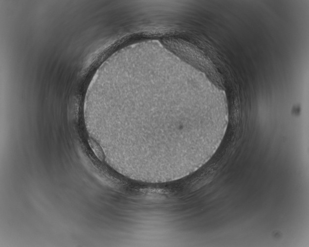 X0000115270448200912111207