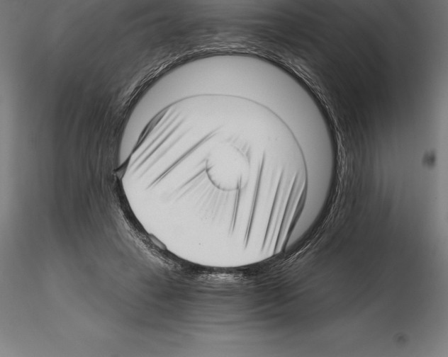 X0000115270449200912111207