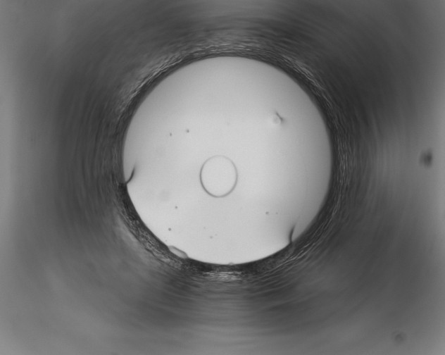 X0000115270451200912111207