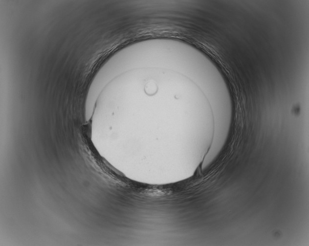 X0000115270453200912111207