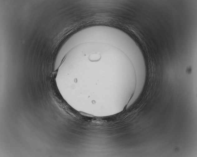 X0000115270455200912111207