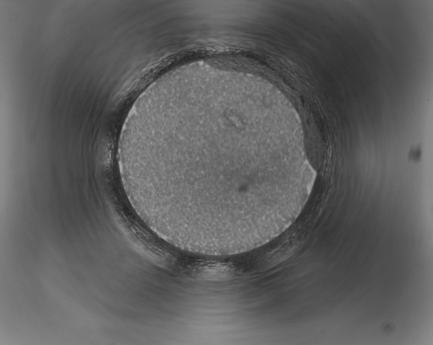 X0000115270456200912111207