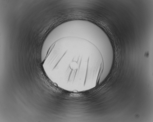 X0000115270457200912111207