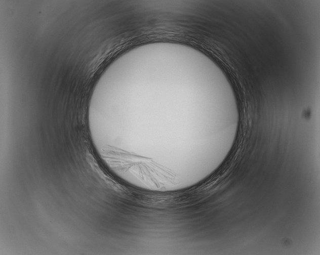 X0000115270458200912111207