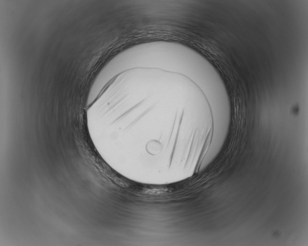 X0000115270461200912111207