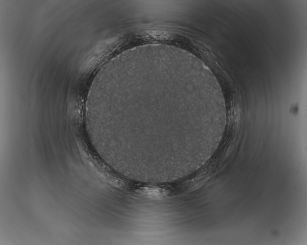 X0000115270464200912111207