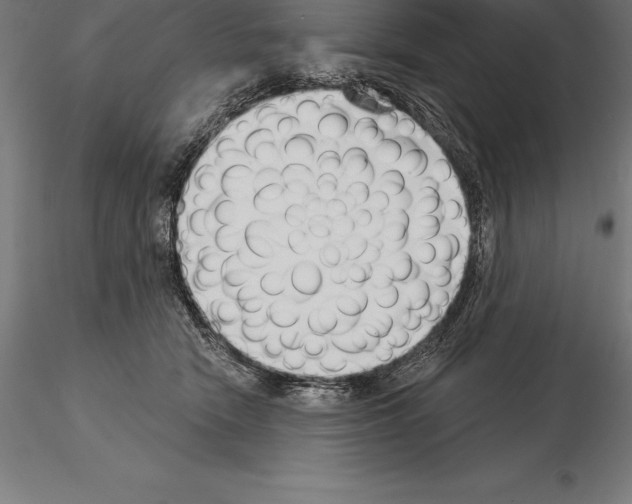 X0000115270466200912111207