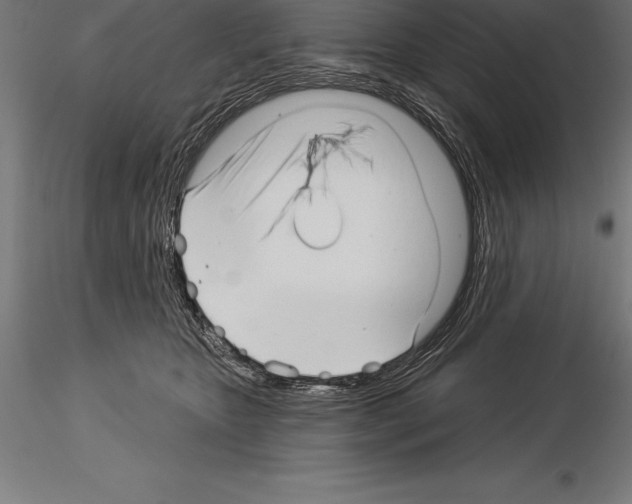 X0000115270467200912111207