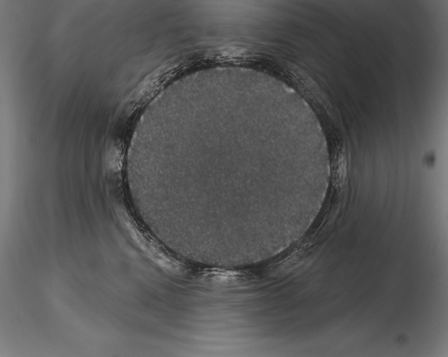 X0000115270472200912111207