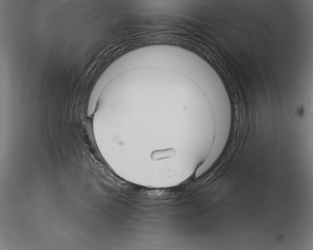 X0000115270473200912111207