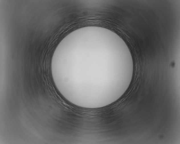 X0000115270475200912111207