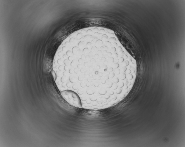 X0000115270478200912111207