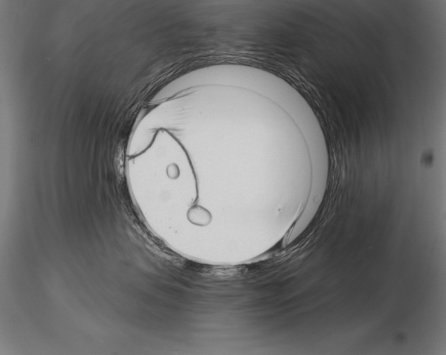 X0000115270479200912111207