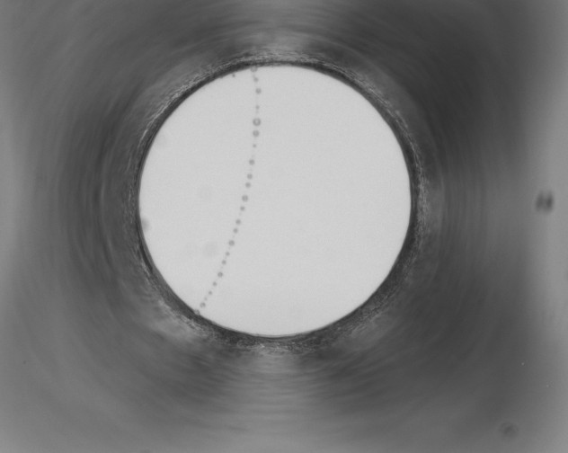 X0000115270481200912111206