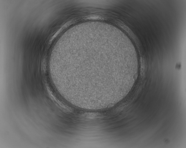 X0000115270482200912111206