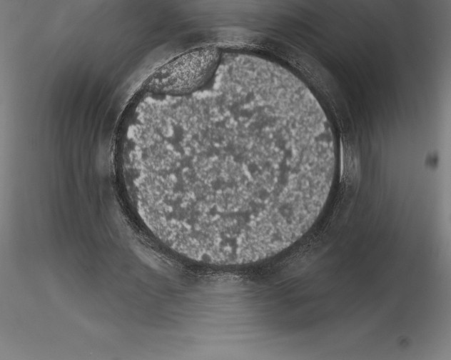 X0000115270483200912111206